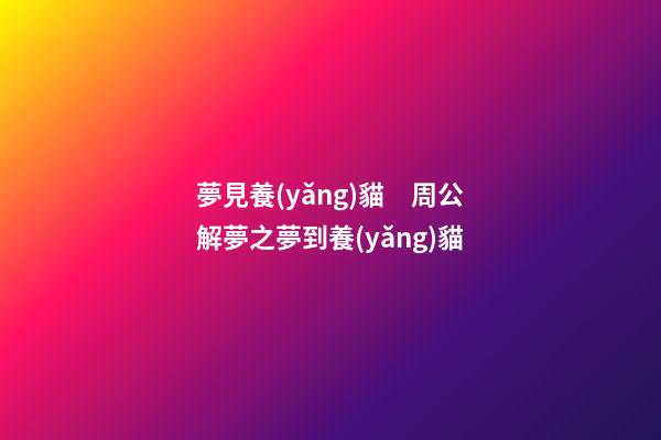 夢見養(yǎng)貓　周公解夢之夢到養(yǎng)貓